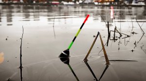 В ГЛУБОКОЙ СТАРИЦЕ ТОПИТ ПОПЛАВОК! Неужели Карась? Закрыл сезон ВОТ ЭТИМ! Рыбалка 2025