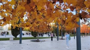 Осеннее буйство красок в ПАРКЕ ОБЛАКОВ Галицкого в Краснодаре. Октябрь / Ноябрь, +18