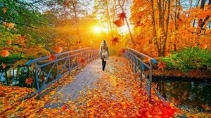 Шальная Осень!