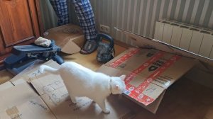 Милка и каропки