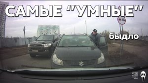 Подборка САМЫХ "УМНЫХ" водителей #1186
