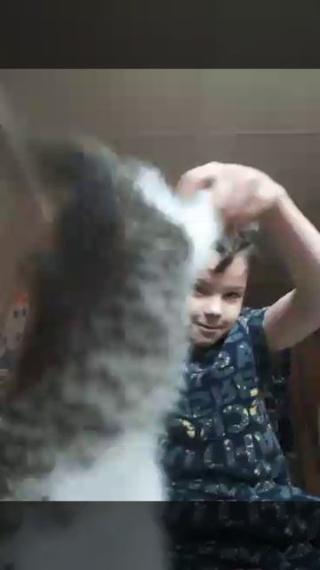 кота фота смотреть онлайн