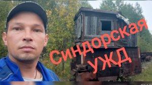 Синдорская узкоколейная железная дорога.