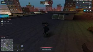 прострел 11811