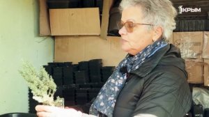 Деревенское счастье. Лаля Колодочкина