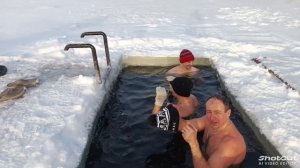 моржи Муравленко