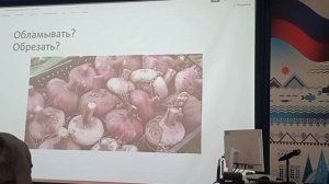 Подготовка луковиц гладиолусов к зимнему хранению, и факторы влияющие на успешное цветение в будущем