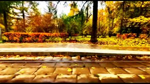 ЯРКИЕ КРАСКИ ОСЕНИ ИЗ ОКНА ТРАМВАЯ. МОСКВА 2025.