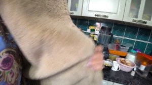 Влог от 10.09.2021