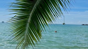 Шум волны в Сиамском заливе, пальма, солнце и релакс