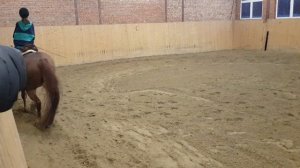 тренировка на хорсе