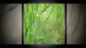 Joel Kanning - The Great Unknown