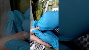 Рик и морти лаблаблаб ногти