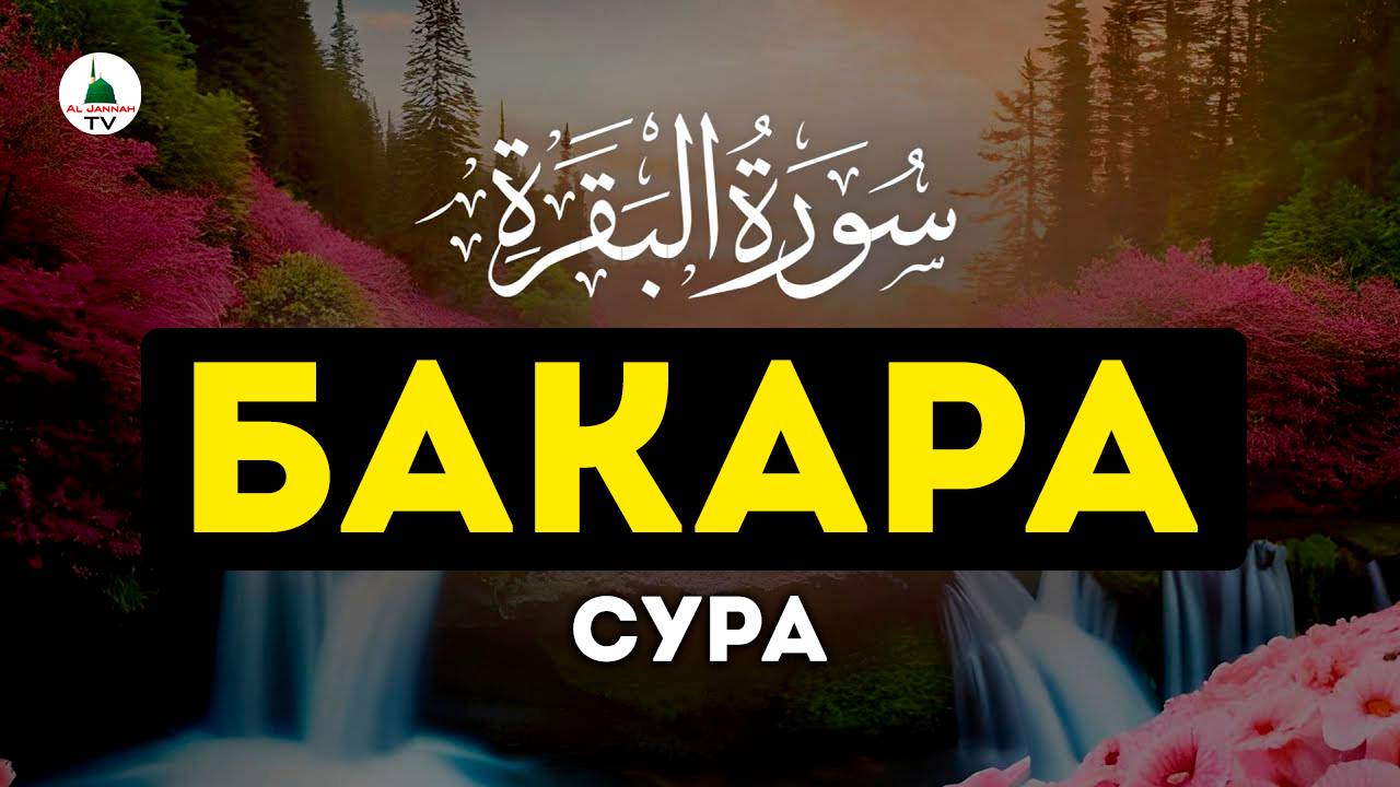 Бакара. Сура Корана смотреть онлайн