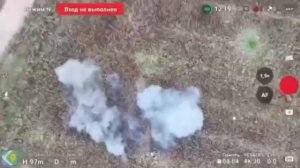 🔴Ликвидация кабанчиков 🐗 за незаконную добычу жёлудей🌰🔴