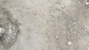 Херсонщина 9 ноября 2025 года