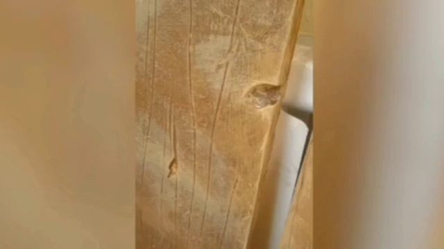 Портфолио 2016-2020гг.