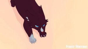 The Other Side of Paradise| COMPLETE whitestorm&Tigerstar PMV MAP 
(КОТЫ ВОИТЕЛИ МАП, ПЕРЕЗАЛИВ)