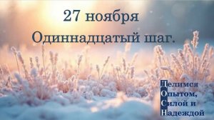27 ноября. Одиннадцатый шаг.