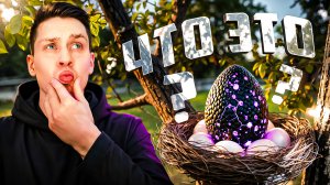 Вещи, которые вы увидите впервые в жизни