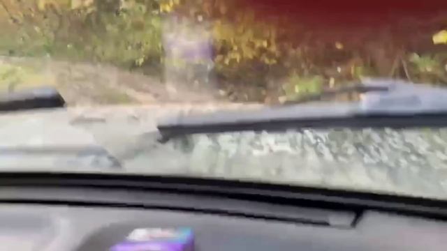 КОММЕНТАРИИ ШТУРМАНА КАК ОТДЕЛЬНЫЙ ВИД ИСКУССТВА