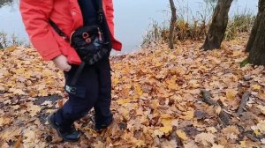 Прогулка по Калининграду (Кёнигсбергу)