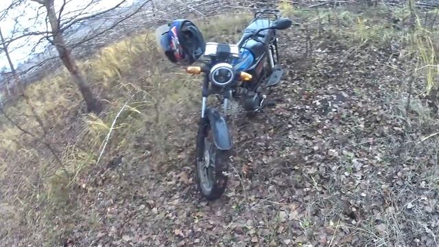 Поездка на Альфе в Матвеевку где живут кабаны