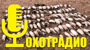 УНИКАЛЬНЫЙ СКРАДОК 5.5 КГ ДЛЯ ОХОТЫ НА ГУСЯ