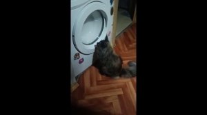 Неверно стирает