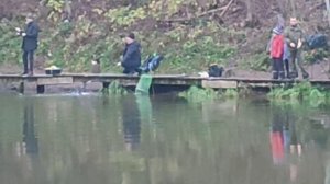 Утро.Основной водоём