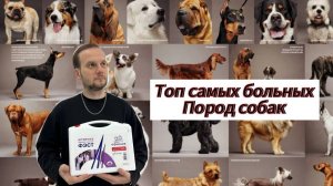 Самые больные породы собак