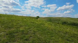 Хохольский ЦРКТ-Хохольский Костёнки Жемчужина палеолита. Максимов Иван Владимирович.