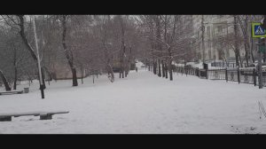 Жизнь диабетика без прикрас.