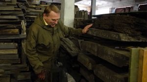 Черное золото Беларуси. Как и для чего добывают мореный дуб?