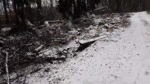 Людское свинство