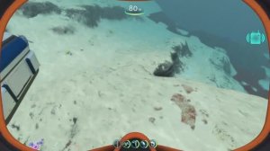 Subnautica