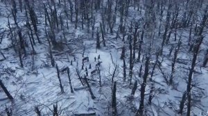 Черный обелиск - Оборона (Фан)