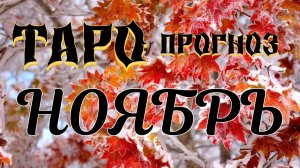 Ноябрь Таро прогноз