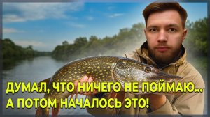 Нереальная рыбалка! 🐟 ТАКОГО клёва я ещё не видел!