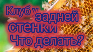 Клуб сел у задней стенки.Что делать?🐝