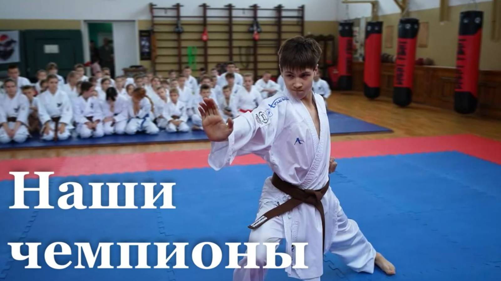 Итоговый репортаж. Спортсмены из ЛНР завоевали 20 золотых медалей на Всероссийских соревнованиях