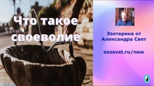 Что_такое_своеволие1