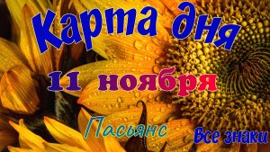 Карта дня🍁 11 ноября 2025🌾🌞Пасьянс.Тайм-код в описании🦢