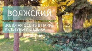 Волжский. Золотая осень в парке «Гидростроитель»✅