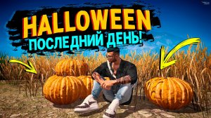 ФИНАЛ ХЭЛЛОУИН 2025!  GTA 5 RP MURRIETA!