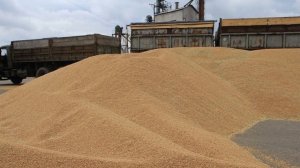 Москва диктует цены европейские аграрии на грани банкротства