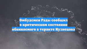 Омбудсмен Рады сообщил о критическом состоянии обвиняемого в теракте Кузнецова