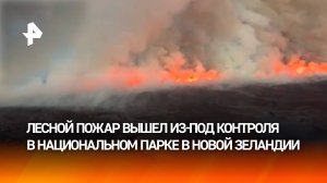 "Мордор" в реальной жизни: в национальном парке Новой Зеландии не могут справиться с жутким пожаром