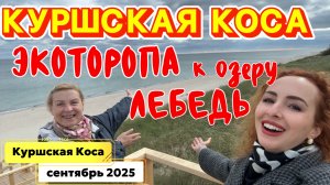 Наш ПОХОД по ЭКОТРОПЕ Куршской косы 🤩// Атмосфера, ОЗЕРО ЛЕБЕДЬ и ресторан, где мы ОБЪЕЛИСЬ 🤤