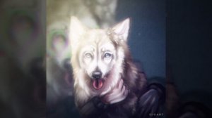 Идейки ФОТО профиля 🫶🏻👉🏻👈🏻